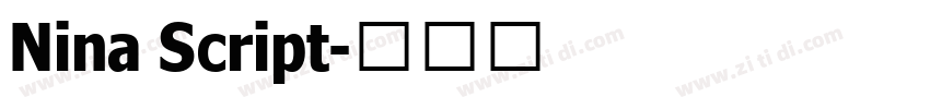 Nina Script字体转换